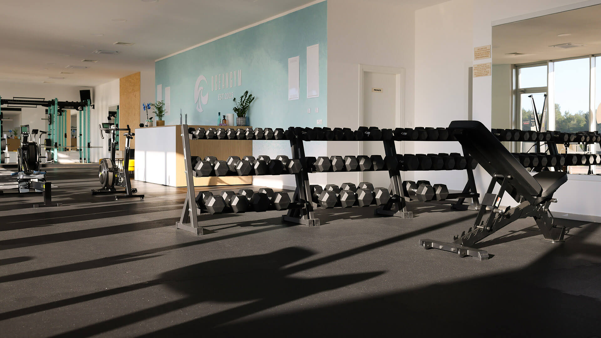 Ocean Gym 16x9 1