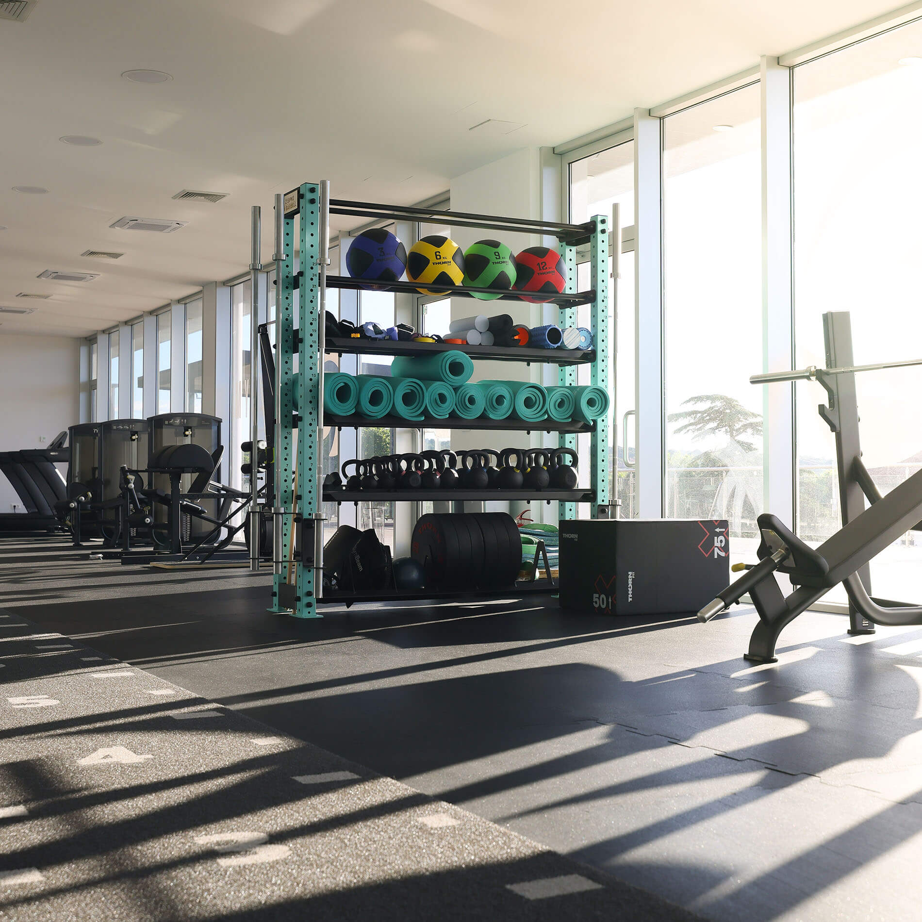 Ocean Gym 1x1 4
