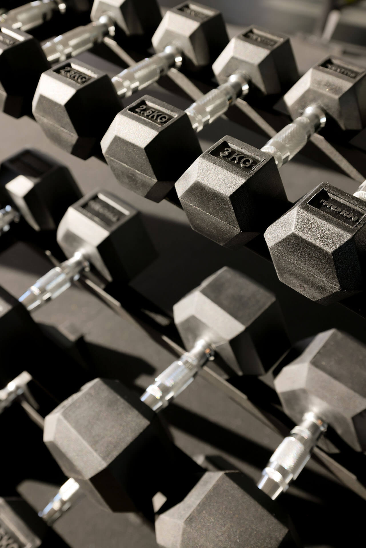 Ocean Gym 9x16
